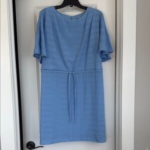 Elegant Blue Dress